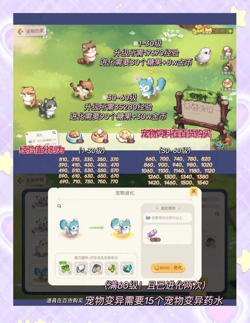 宠物系统详解:冒险岛中如何培养和利用宠物 宠物系统详解:冒险岛中如何培养和利用宠物
